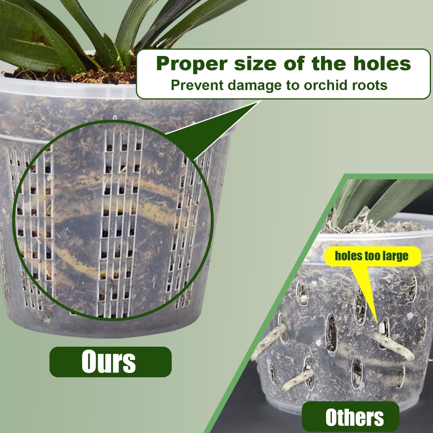 Pots orchidée 4.3 5.5 6.1 pouces trous 2 chacun rempotage plastique intérieur extérieur - 3