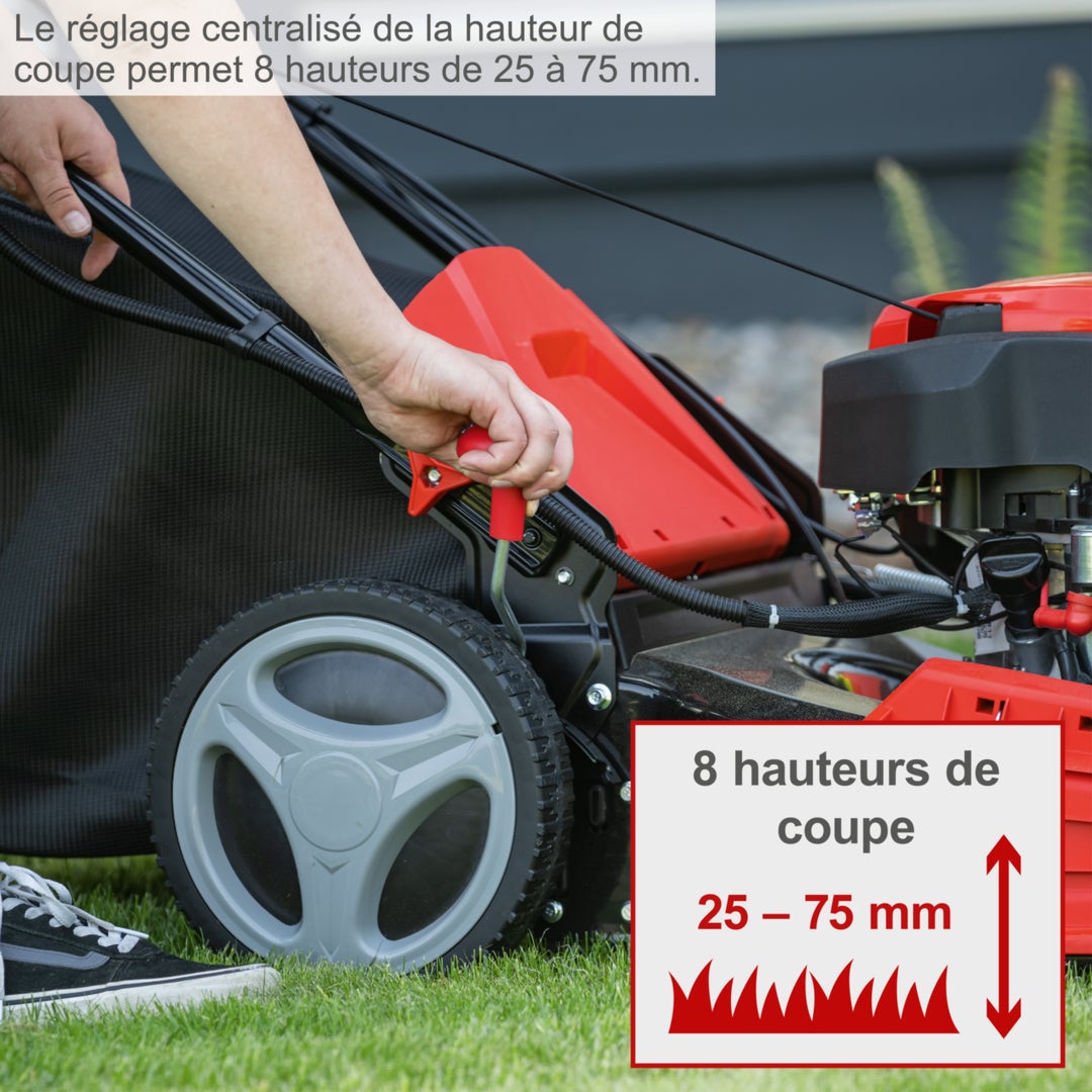 Scheppach Tondeuse thermique MP150-46 - moteur 4 temps - 150 cm³ - largeur de coupe 46 cm - 1000 m² - hauteur de coupe 25-75 mm - bac 55L - 7