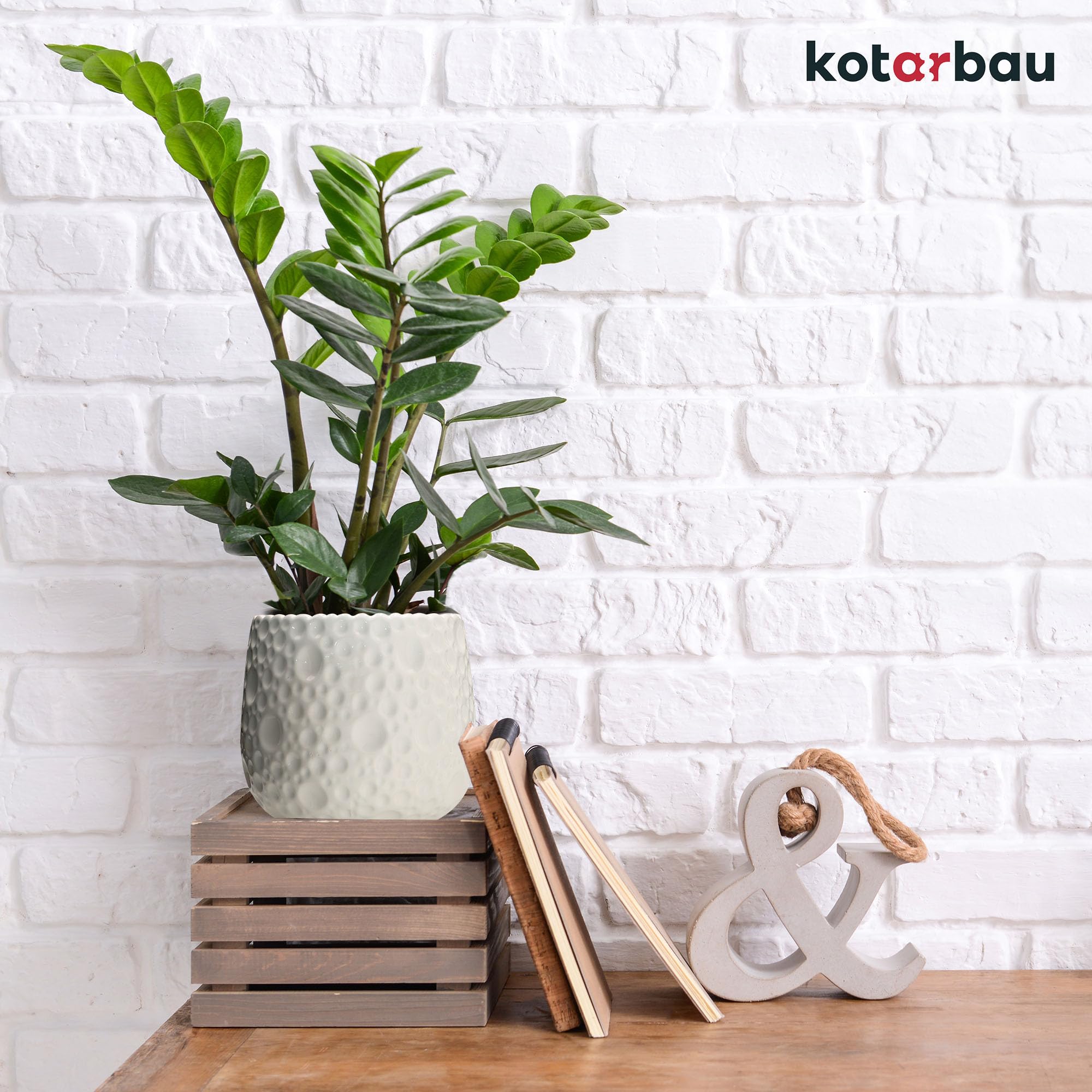 Lot de 2 Pots de Fleurs Ronds en Céramique, Diamètre : 12 cm, Hauteur : 12,5 cm, Blanc, Cache-Pot pour Plantes d'Intérieur - KOTARBAU - 7