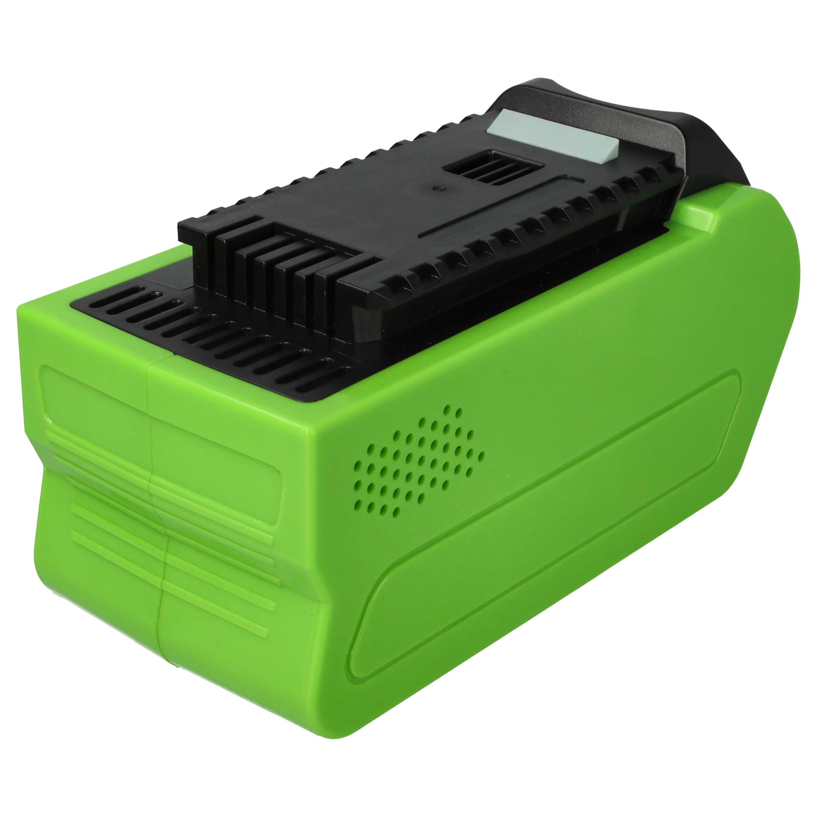 ROQUES ET LECOEUR Batterie 40 V 4Ah RLBAT40V4AH main image 1