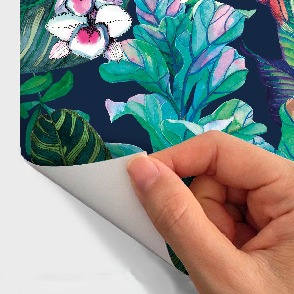 Adesivo arazzo tropicale Cartegana - Sticker adesivo - adesivi murali - 60x60cm - 4