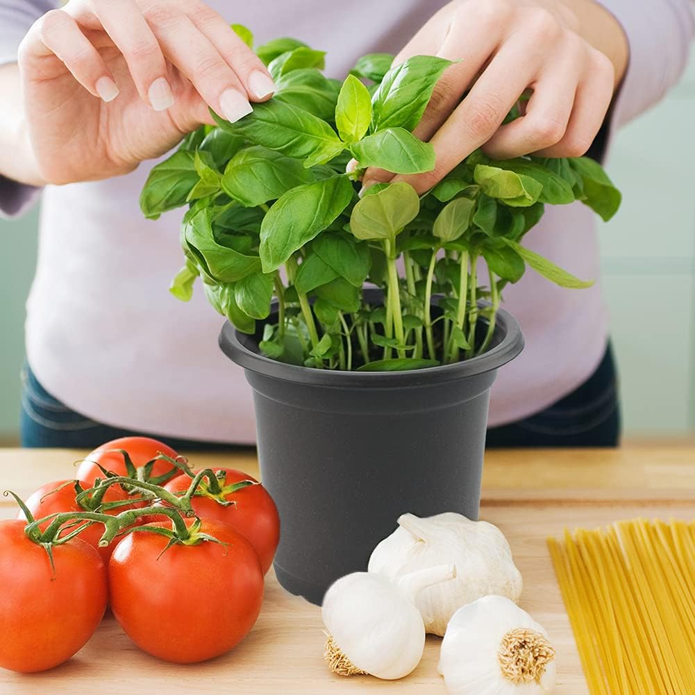 Confezione da 100 fioriere in plastica nera da 10 cm per piante grasse, verdure, talee - 3