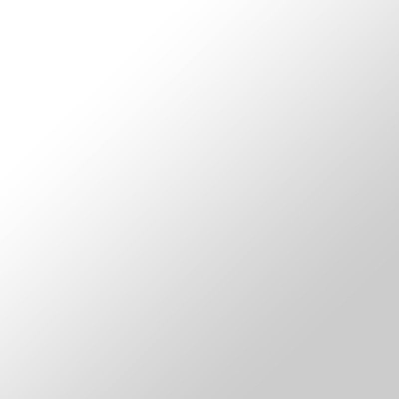 Vernis transparent Hautes températures 800°C mat 400ml MOTIP - 2