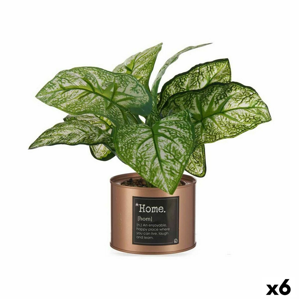 Plante D corative Home Cuivre Cannette 26 X 26 X 26 Cm 6 Unit s Plante d corative home cuivre cannette 26 x 26 x 26 cm 6 unit s
