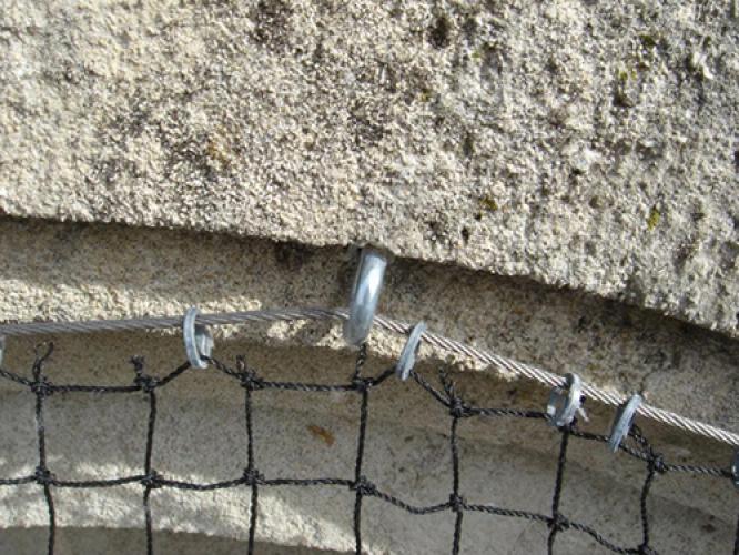 Filet anti-pigeons - Maille de 50mm Pierre 5m x 30m - 2