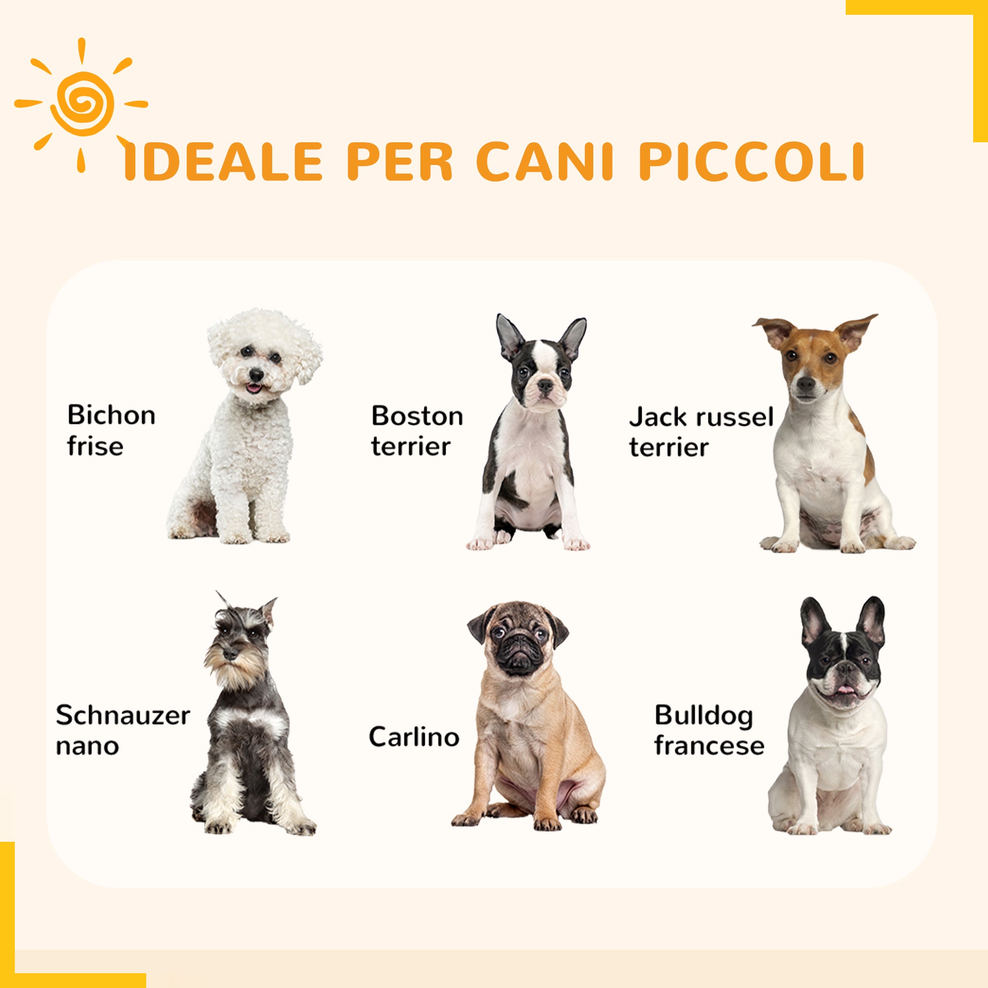 PawHut Recinto per Cani a 8 Pannelli Modulabili da Interno ed Esterno, in Acciaio, 164x164x60 cm, Nero - 4