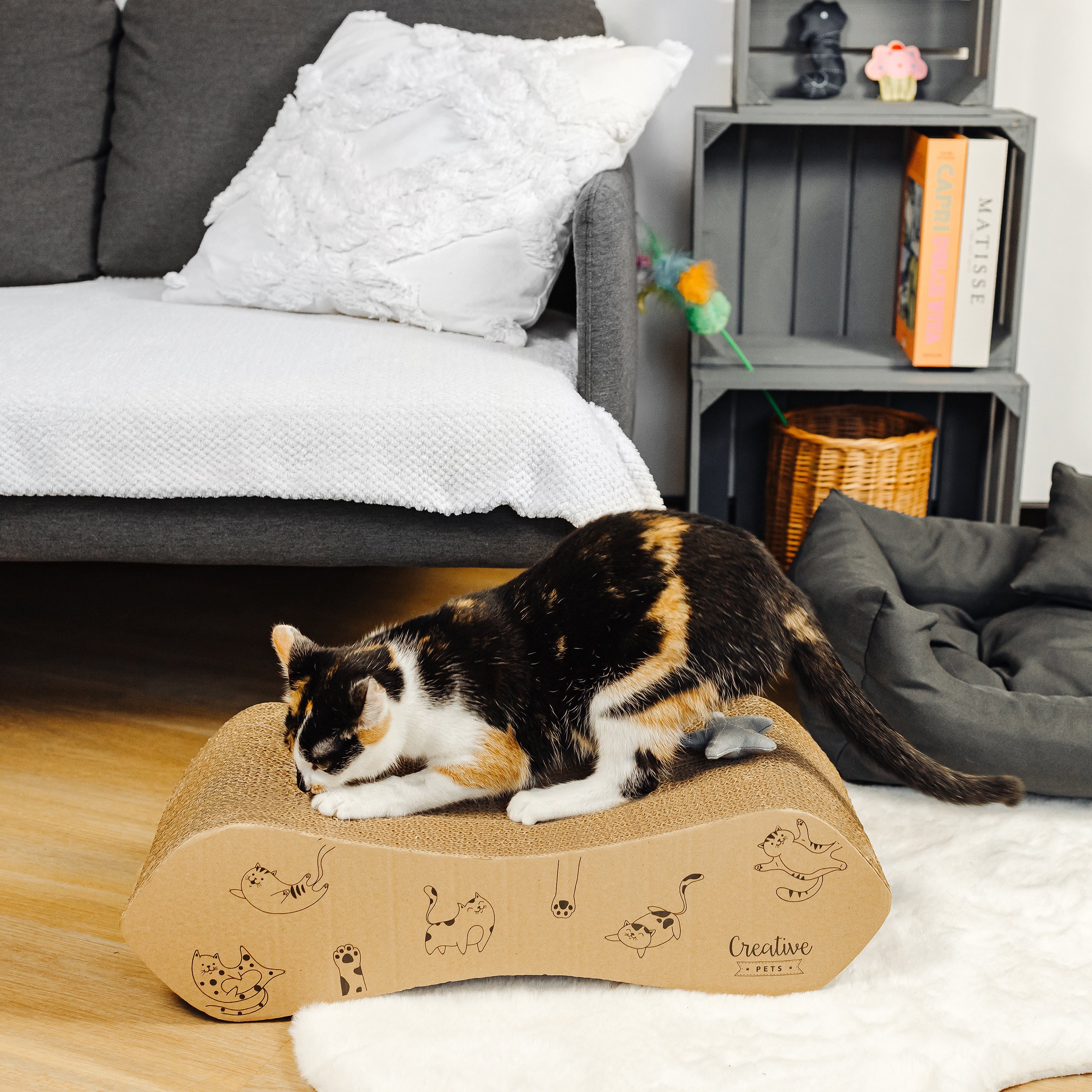 Grattoir Pour Chat Boîte à Gratter Pour Chat Jouet à Gratter Pour Chat Jouet à Gratter Pour Chat Jouet Gratter Pour Chat Jouet Gratter Pour Chat Jouet Gratter Pour Chat