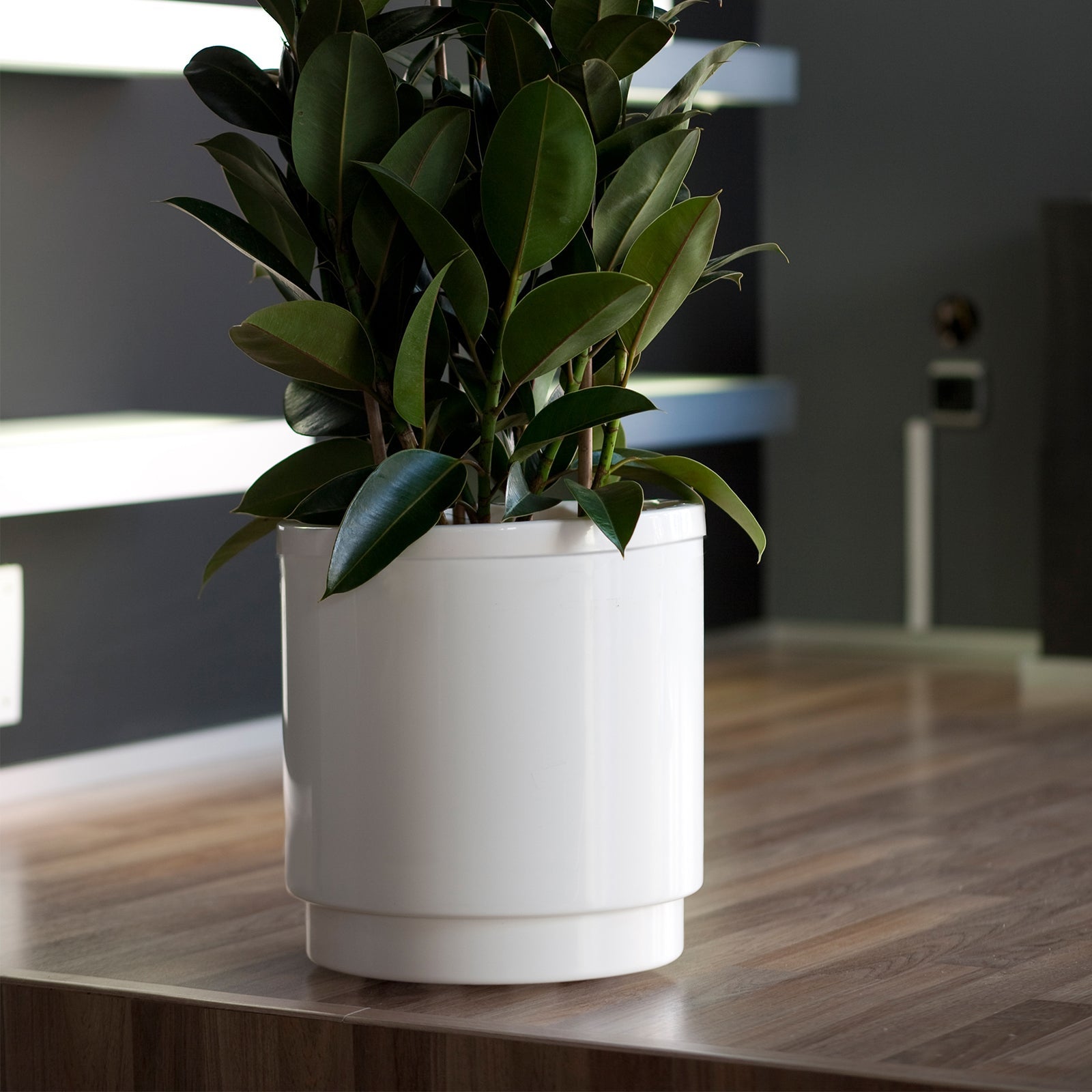 PLASTIKEN Pot de fleurs a réserve d'eau Hidrojardinera - Ø22 cm - Gris anthracite - 5