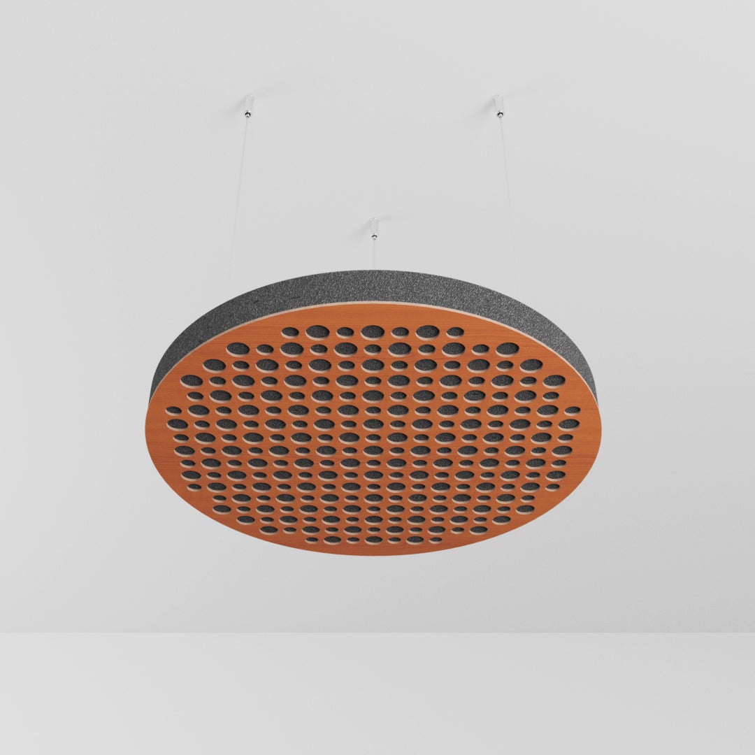 Lot De 2 Panneaux Acoustiques De Plafond CIRCLES Avec Kit De Montage 