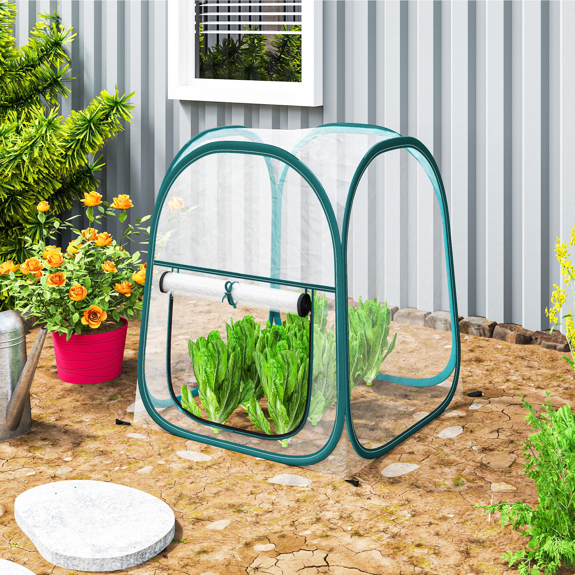 Mini serre de jardin, mini pop up serre en PVC transparent, pour ...
