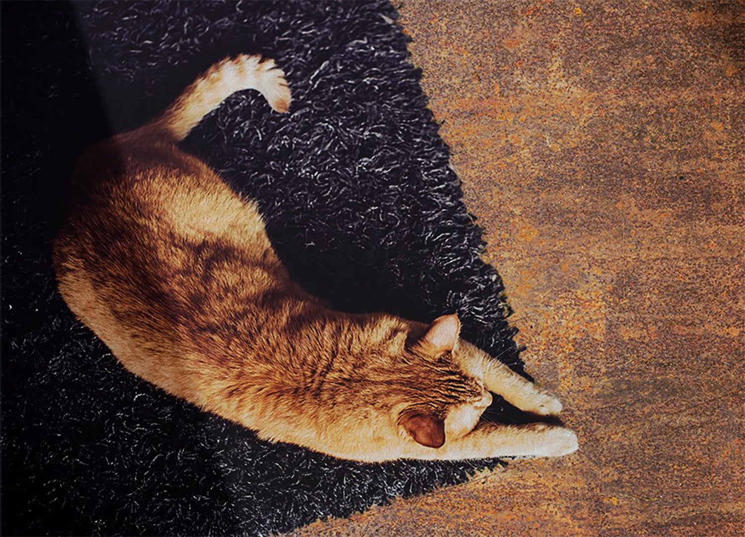 Tapis vinylique intérieur tôle oxydée industrielle, tapis en vinyle intérieur effet métal patiné 100x150 – Tulup - 2