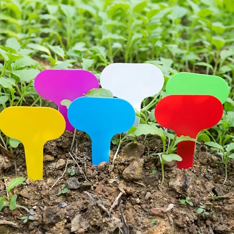 1000 Etichette Per Piante Rosa In Plastica PVC 10 Cm: Impermeabili E UV Resistenti Con Penna Permanente Inclusa Per Orto E Giardino - 3