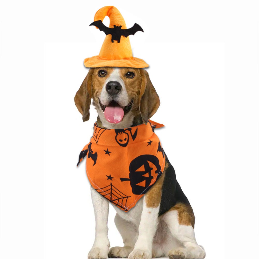 Strój czarownicy dla zwierząt domowych, trójkątny śliniak z motywem dyni, czapka halloweenowa dla zwierząt domowych