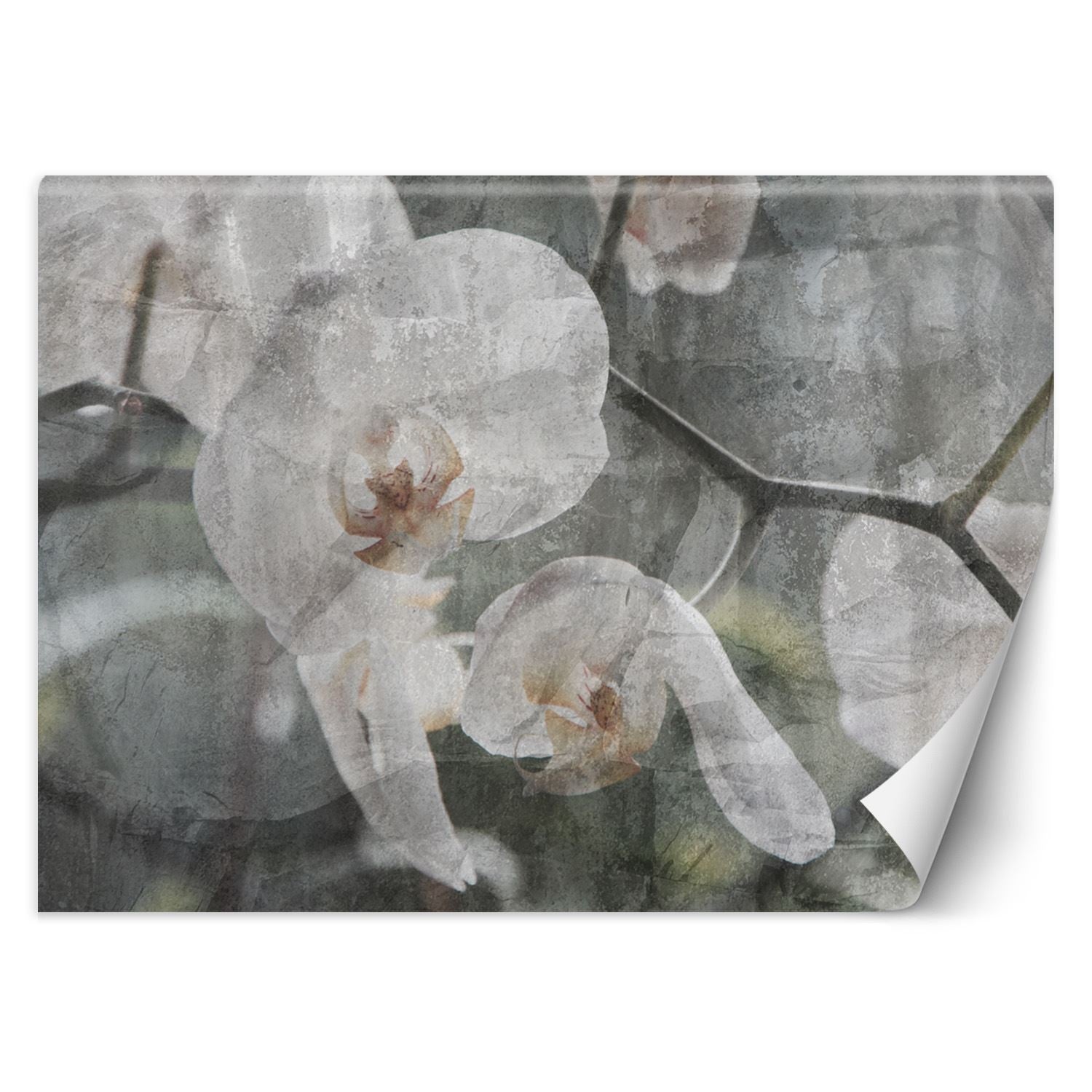 Fototapeta, Orchidea vintage 368x254