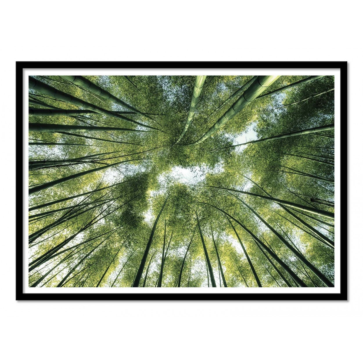 Art-poster - bamboo jungle - manjik pictures - con marco negro 50 x 70 cm