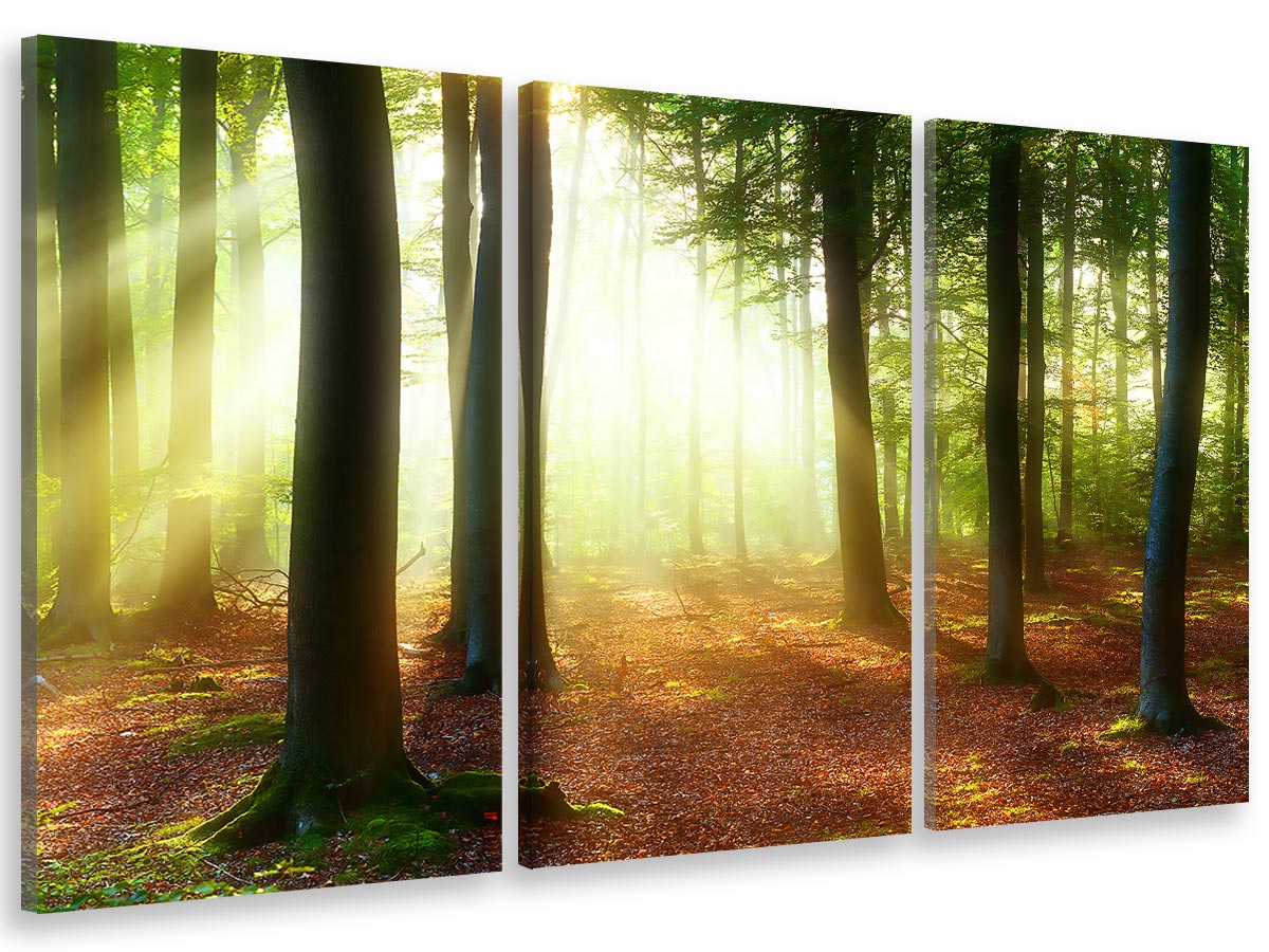 Cuadro tríptico paisaje raya de luz en el bosque - 90x60 cm