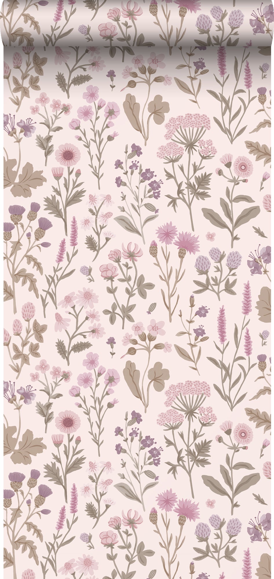 Tapeta kwiaty polne liliowo fioletowym - 50 x 900 cm - SANDERS &amp; SANDERS