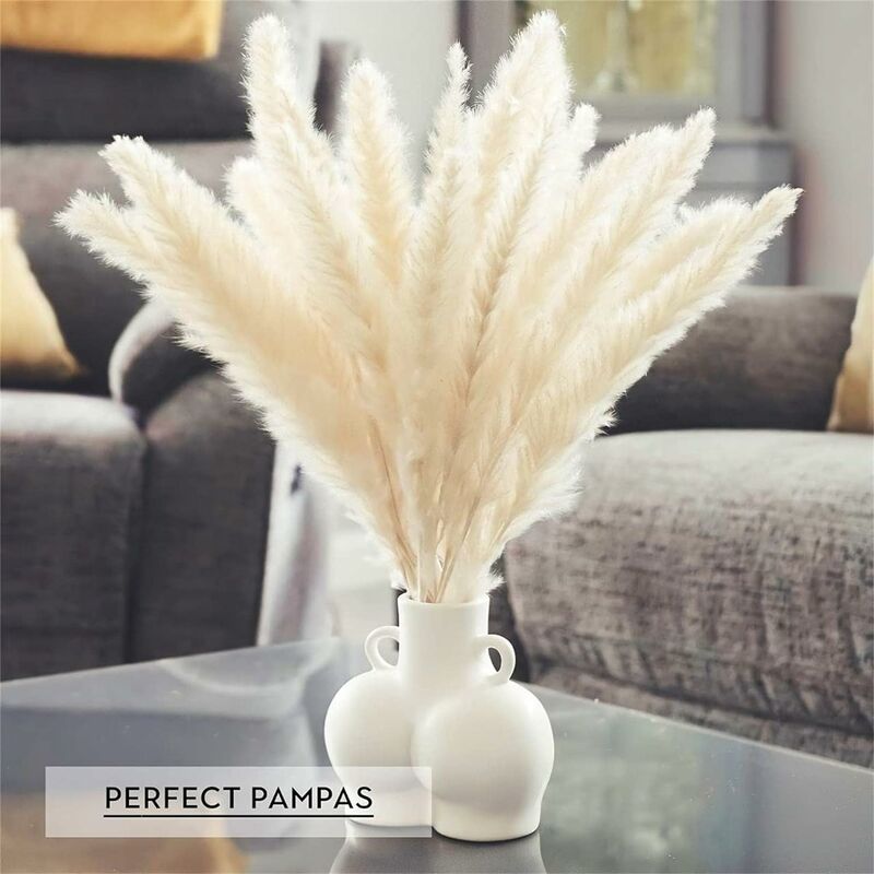 Herbe de pampa séchée Lot de 15, décoration de vase de fleurs séchées artificielles de 43 cm, décoration d'herbe de pampa et fleurs séchées - 2