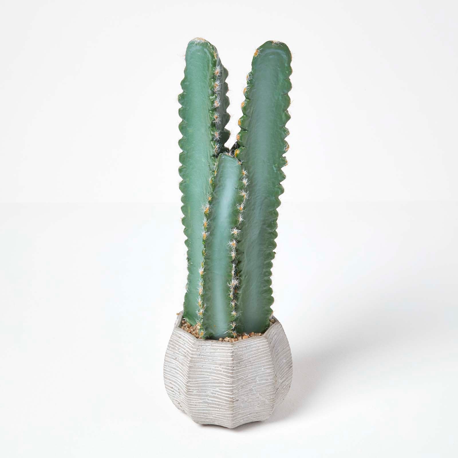 Pianta di Cactus Artificiale con Vaso | Leroy Merlin