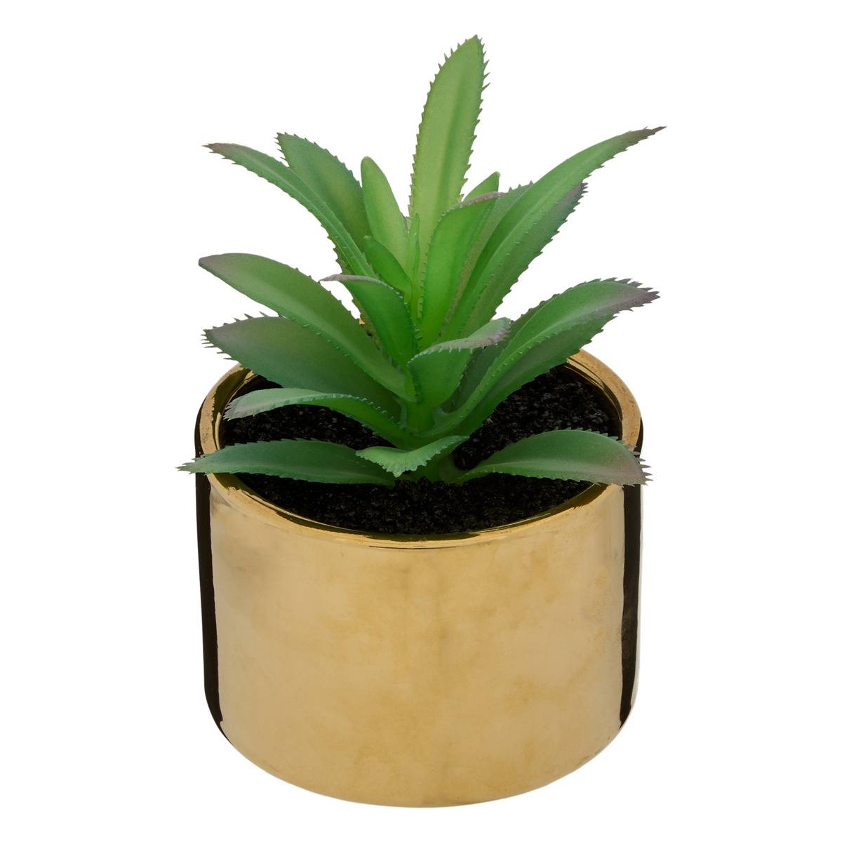 Plante Verte Pot Céramique H.15 Multicolore - Atmosphera Créateur d'intérieur - 3
