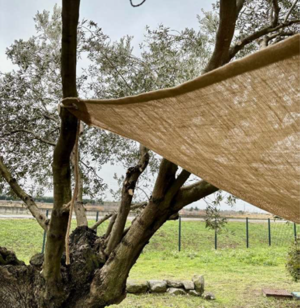 Toile d'ombrage en jute 280g/m² 2mX2mX2m - 5