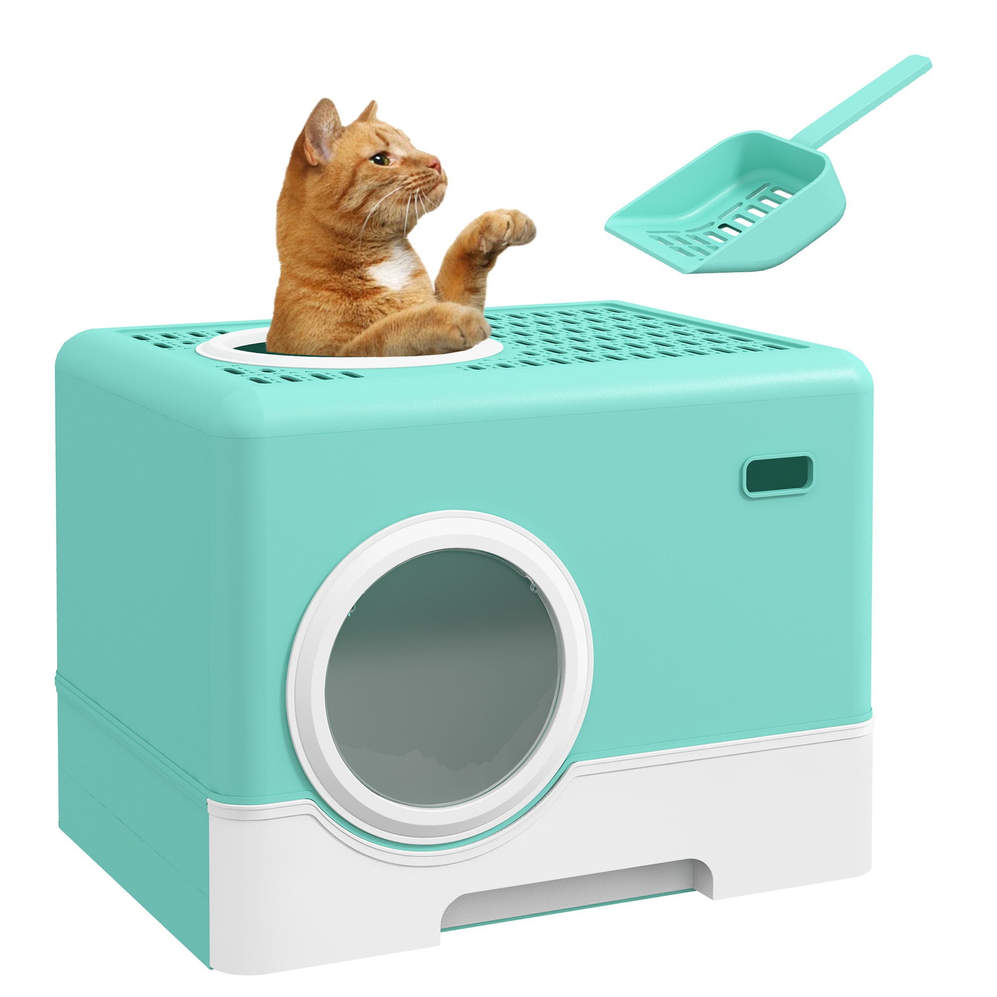 Caja Arenero Para Gatos Casero Soriana Arenero Hacer Que Gato Use