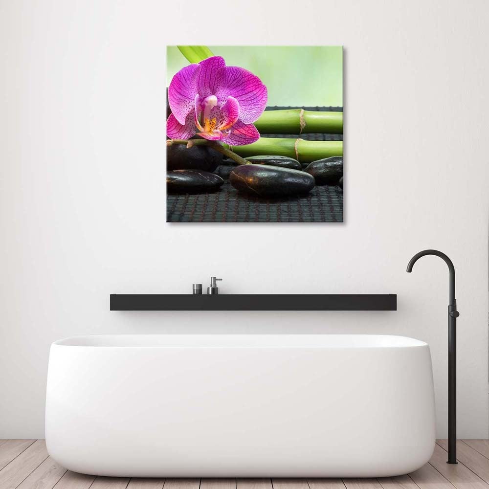 Obraz na płótnie, Kwitnąca orchidea na czarnych kamieniach 50x50