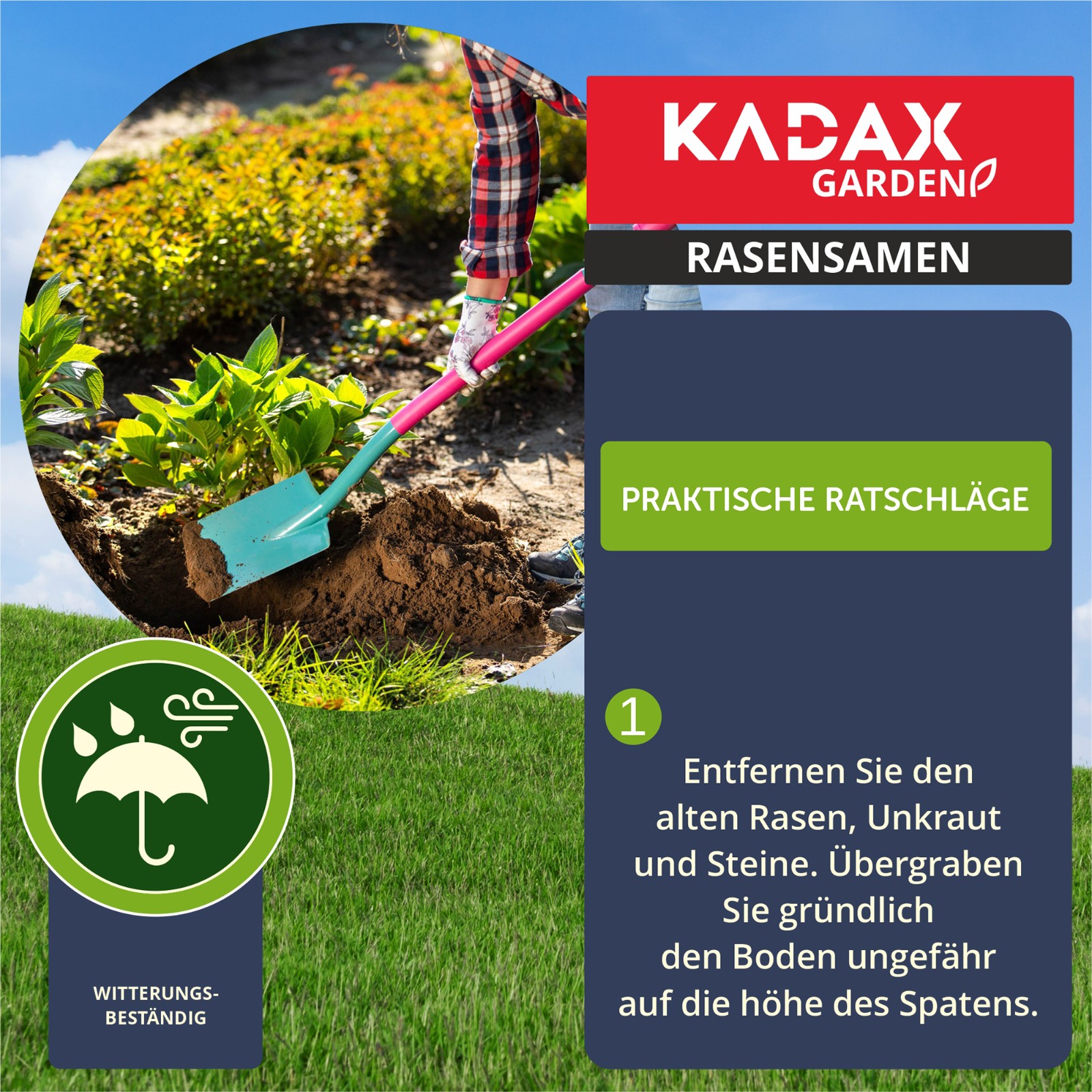 TRAWA NASIONA 5kg ODPORNA NA DEPTANIE SAMOZAGĘSZCZAJĄCA TRAW SPORTOWA 200m2 - 2