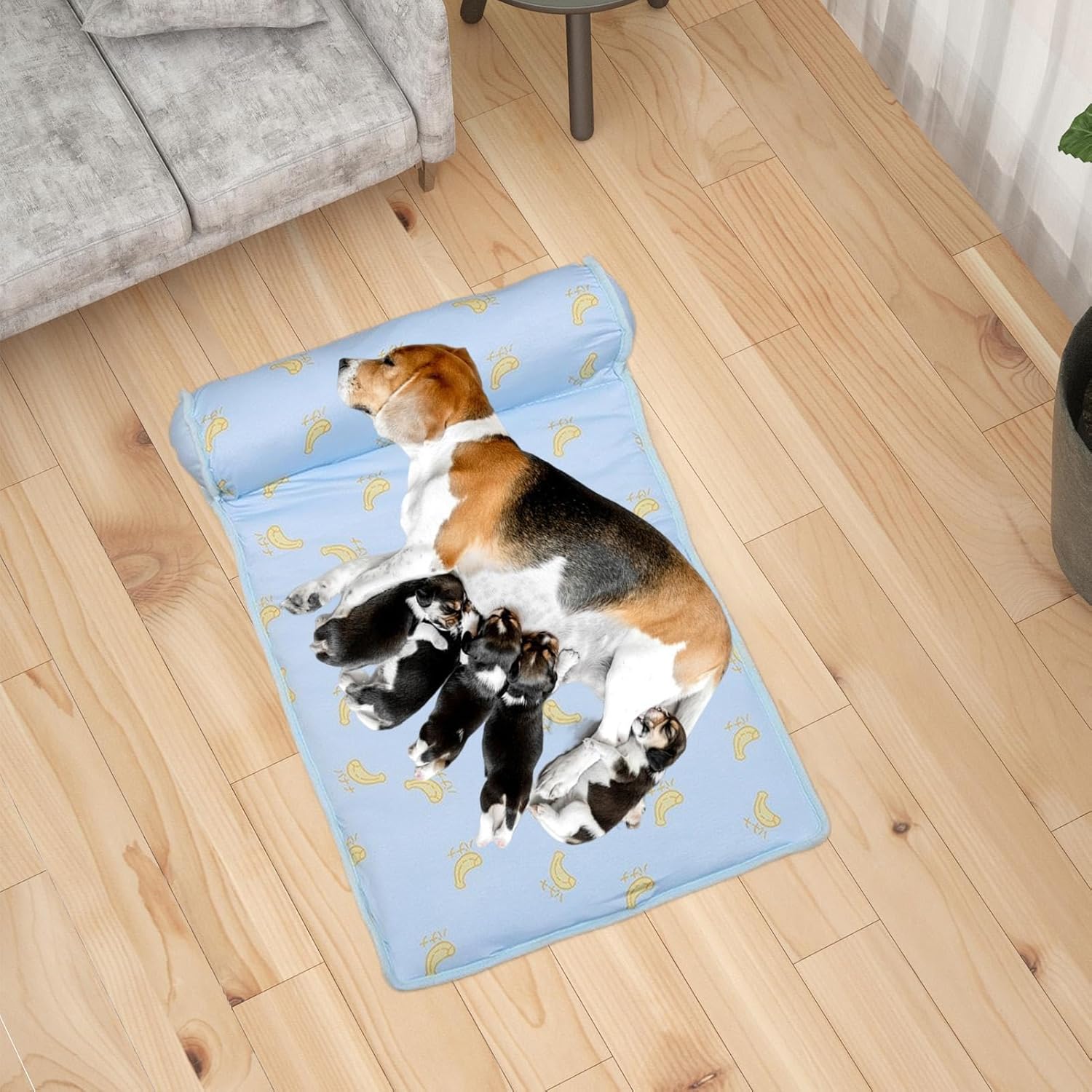 Cama refrescante (60 x 40 x 15 cm) para cães e gatos - Seda gelada - Macia e lavável - Almofada respirável - Colchonete com travesseiro para o verão - 3