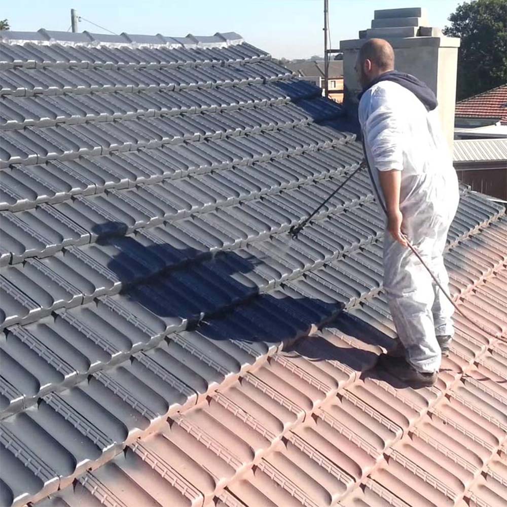 Peinture New Roof (15 Litres - Nuancier RAL) - Peinture imperméabilisante spéciale pour toitures - Idroless - 8