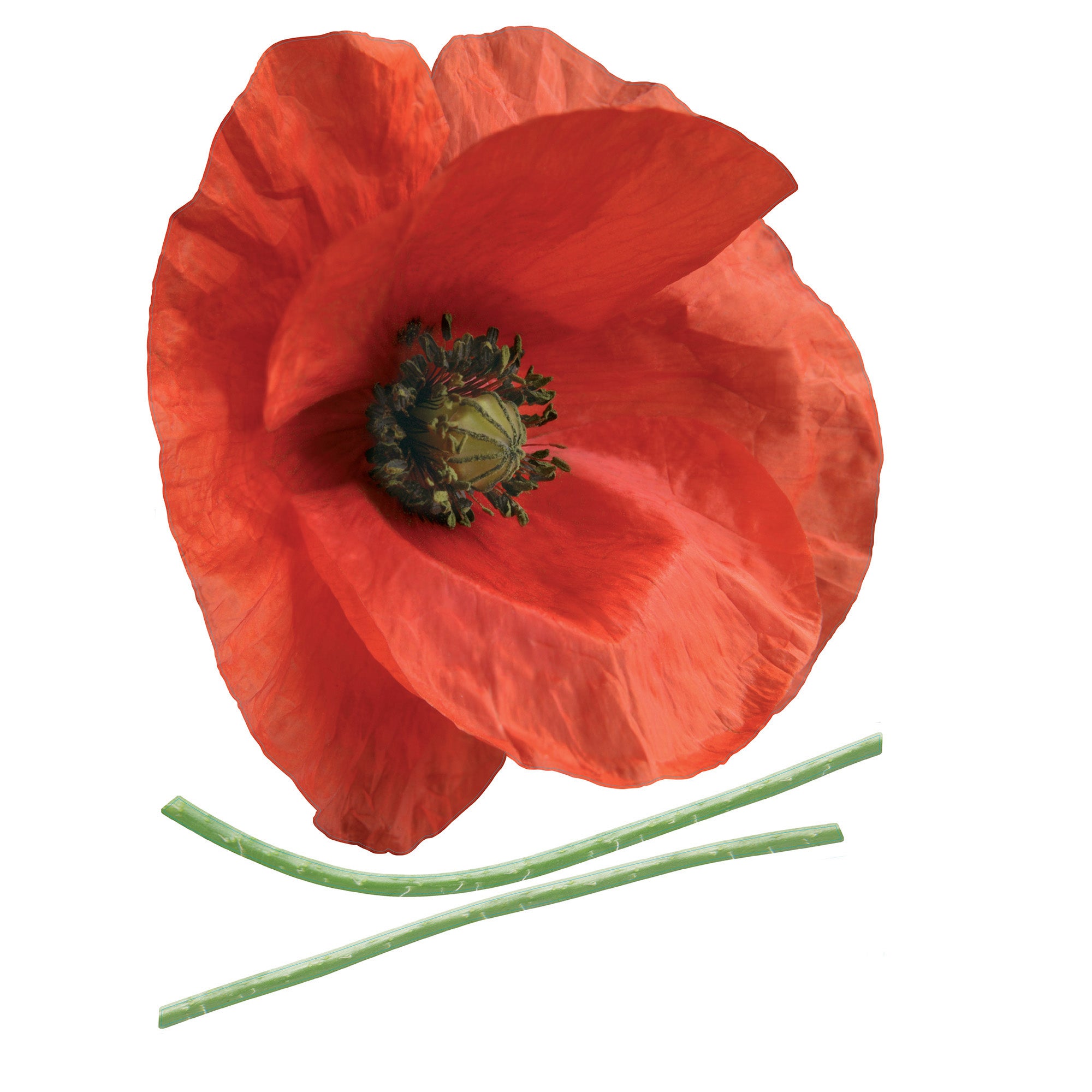 Autocollant Mural Grand Coquelicot Rouge - Déco Florale Vinyle - Neuf
