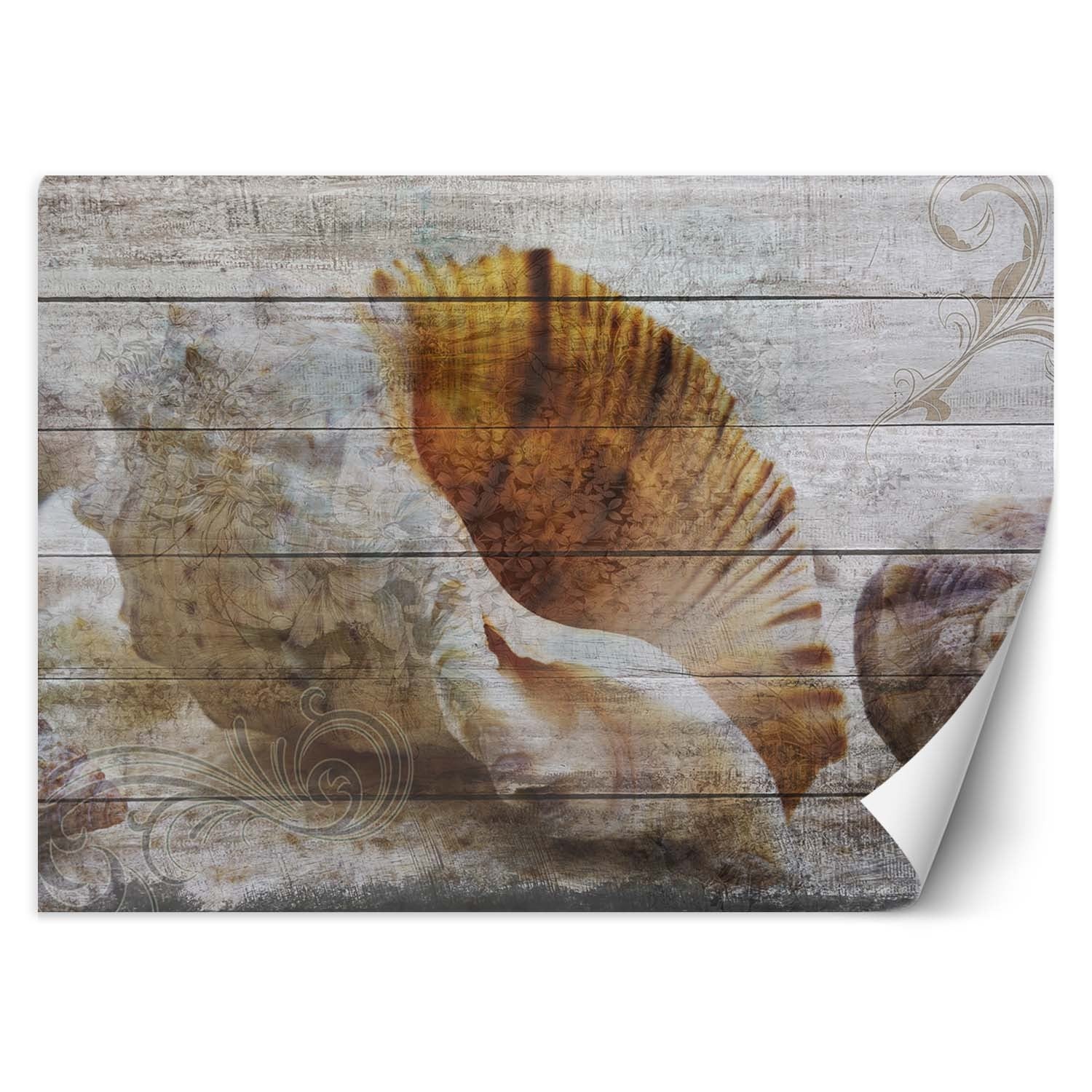 Fototapeta, Muszle w stylu vintage 350x245
