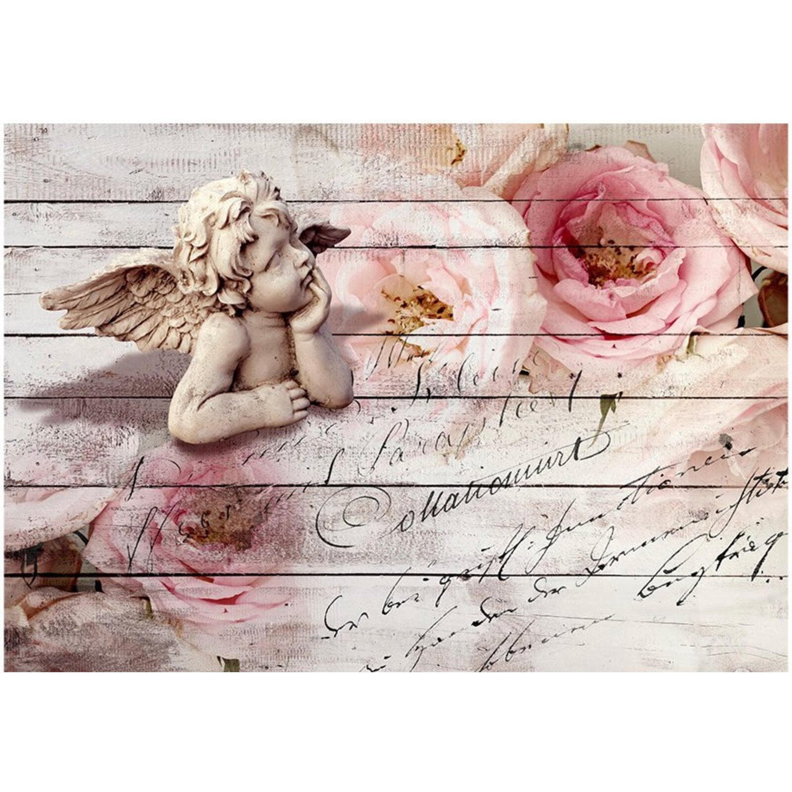 Papier peint ange et calme - 350 x 245 cm - 2