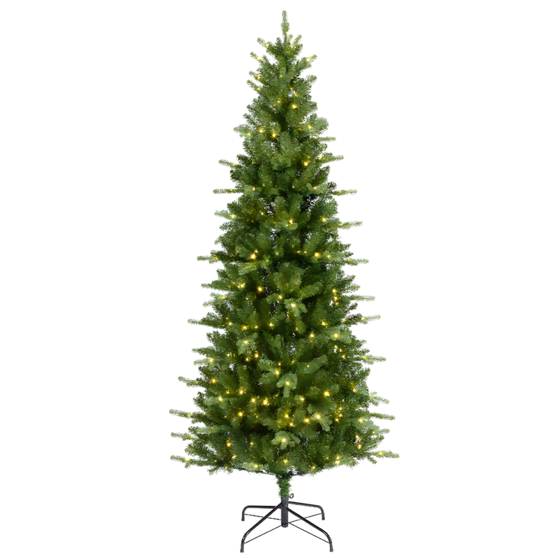 Sapin Haut Et Fin