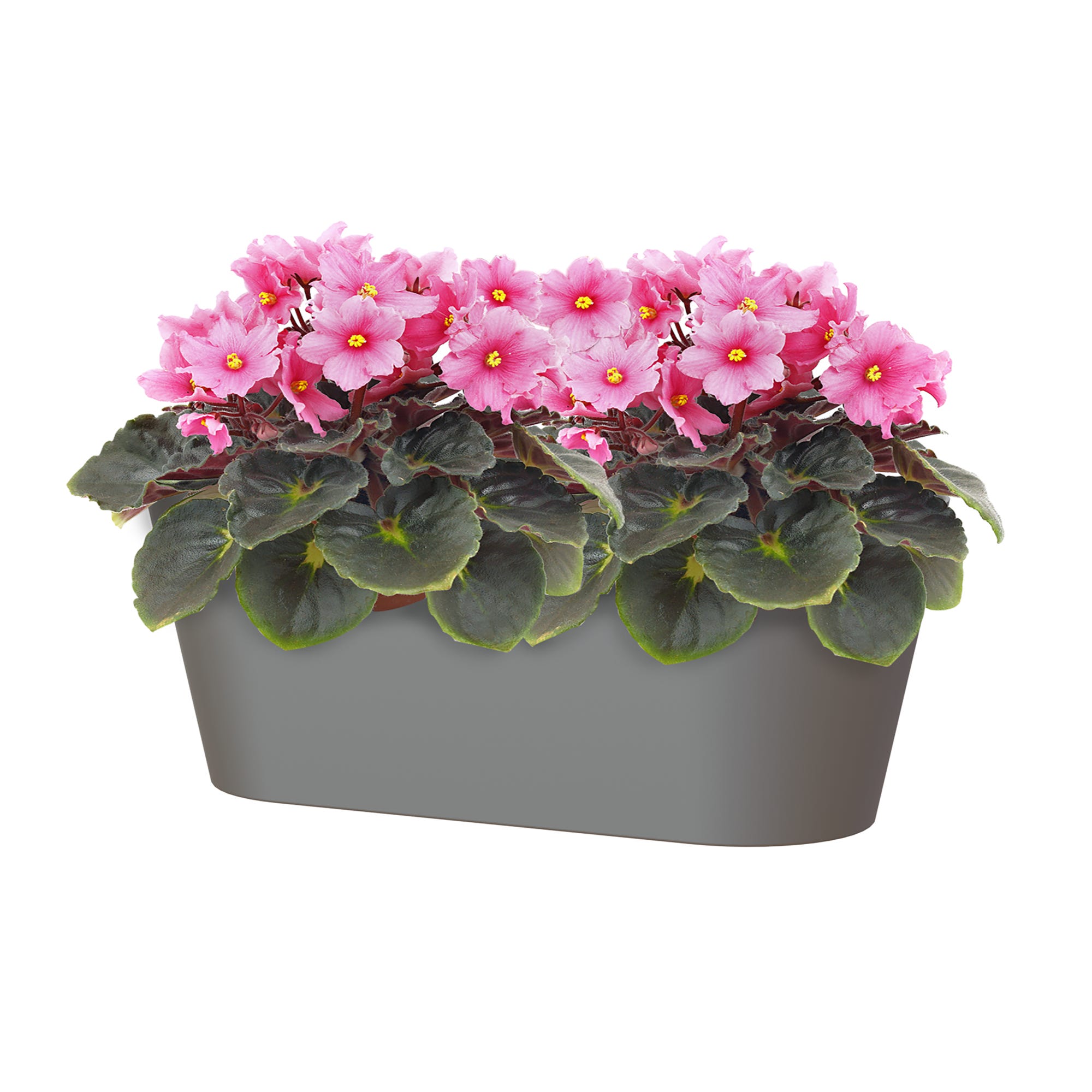 Jardinière PORTO anthracite 30x14x13cm - 3