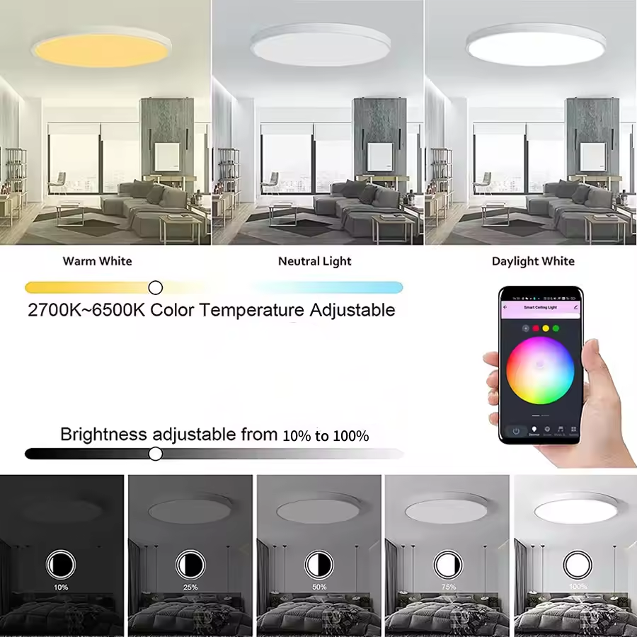 LOVHAUS Lot De 2 Plafonniers LED RGB Ronds, Télécommande, 24W 2400LM, 2700K-6500K, Changement De Couleur - 2