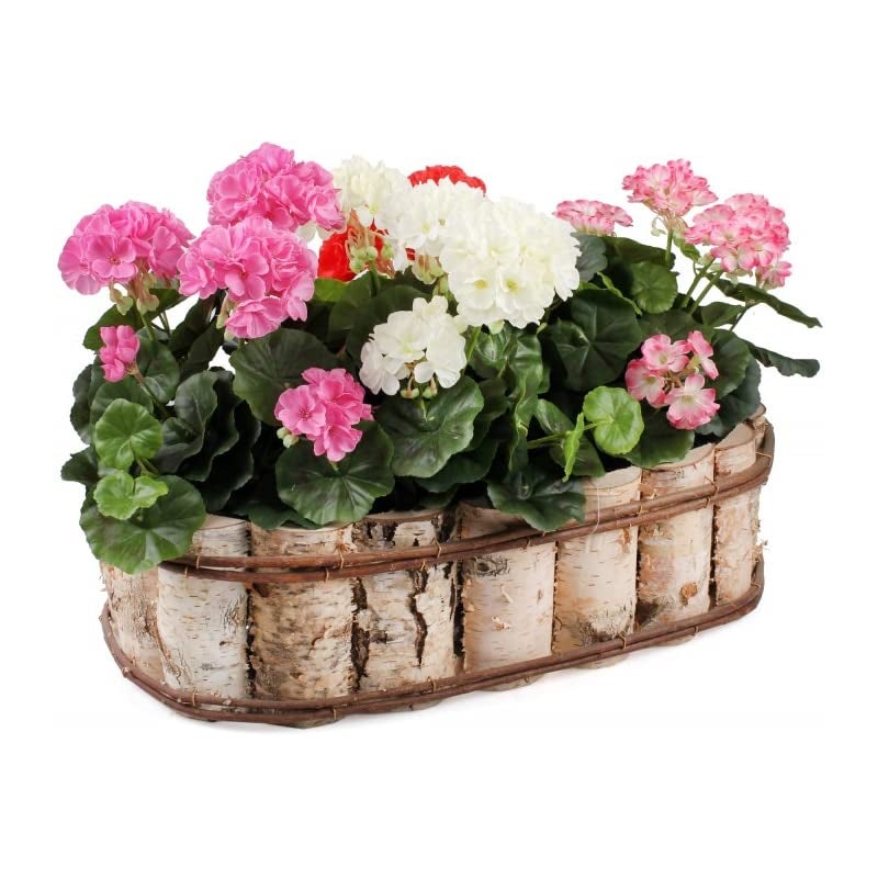 Naturalna owalna donica z brzozowego drewna z folią wewnętrzną na balkon 55x32x15 cm - KOTARBAU