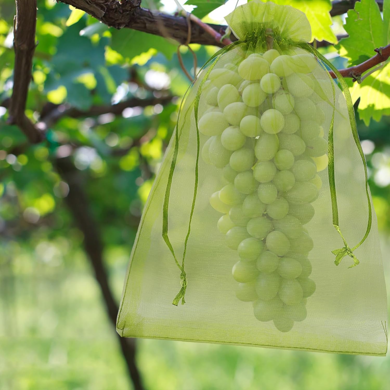 100 Pièces Sacs Protection Fruits 20 x 30 cm, Sachets Filets Protection des Grappes Raisins, Sac Filets pour Jardin (Vert) - 6