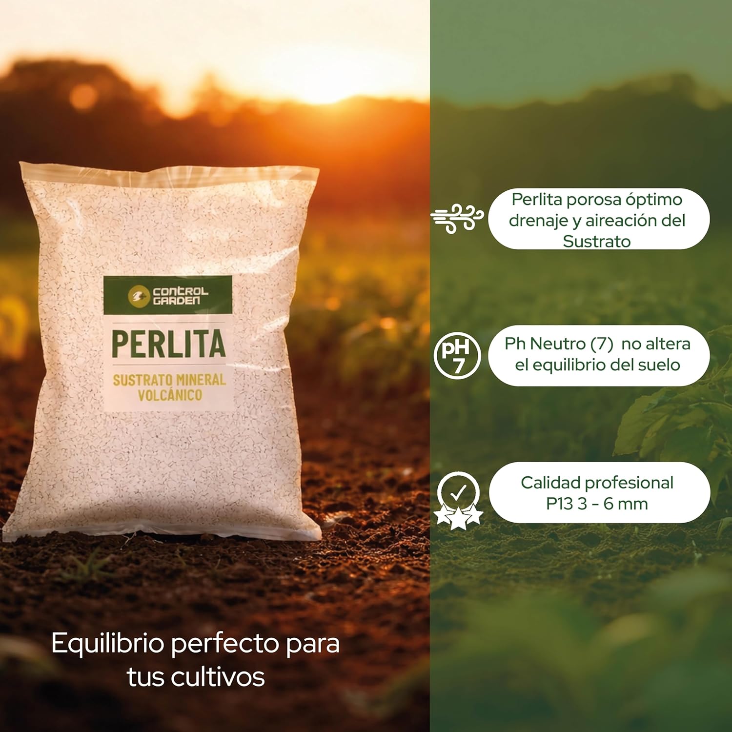 CONTROL GARDEN Perlita 20L | Tierra para Plantas y Cultivos Interior y Exterio | Sustrato Natural para Semillas | Fabricado en España - 5