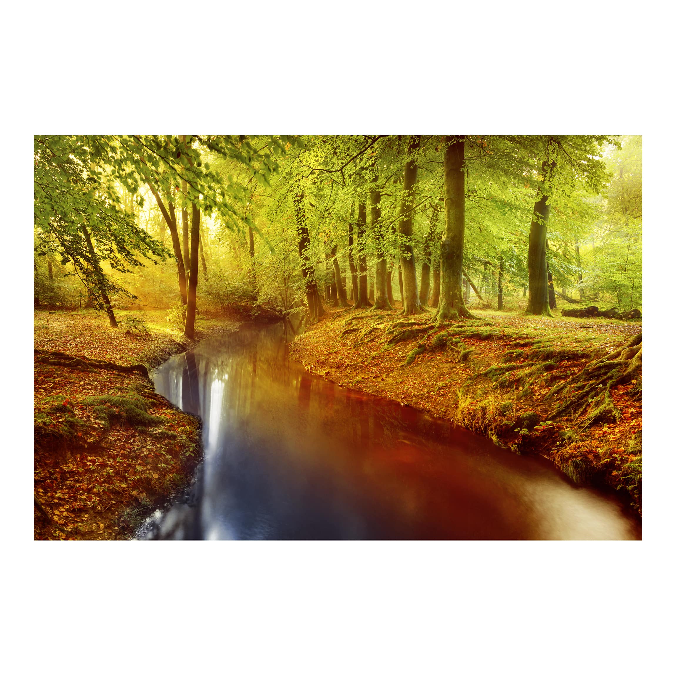 Papel pintado fotomural bosque de otoño naturaleza 57 - salón dormitorio cocina pasillo - tnt 480 x 320 cm smart