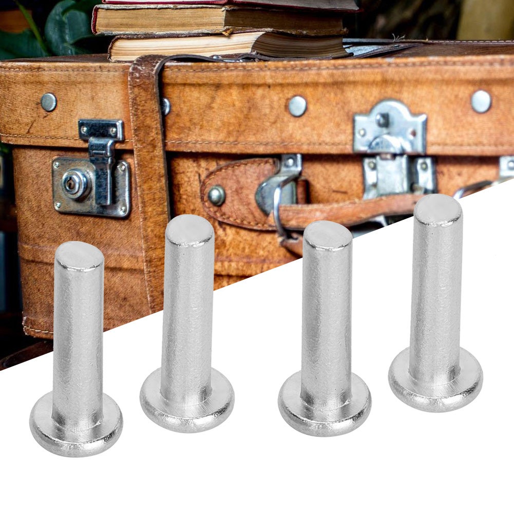 M6 GB867 20 pezzi Rivetti solidi a testa piatta in alluminio (M6 x 30) - 6