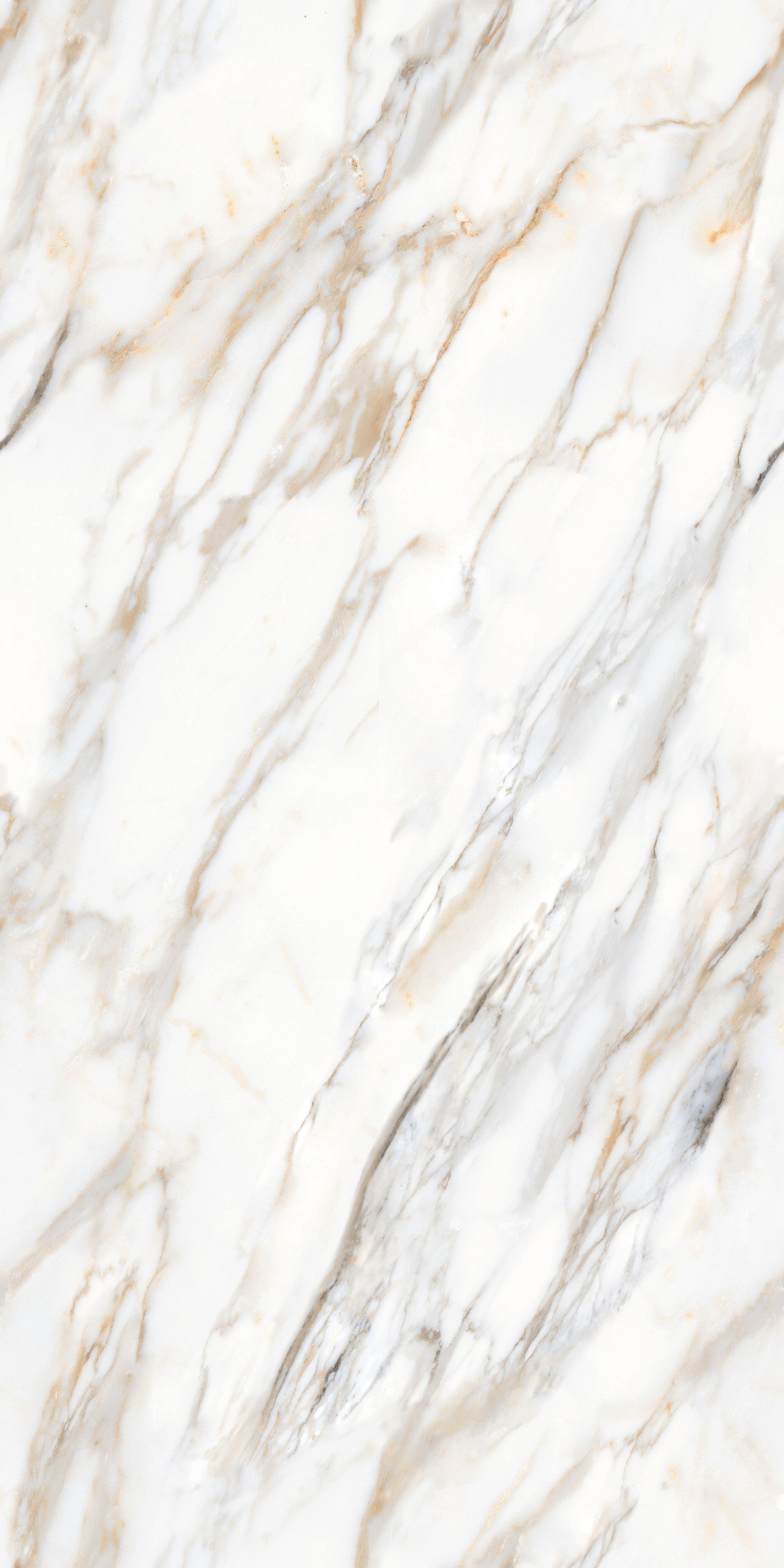 Carrelage sol / mur effet marbre blanc ZEBRINO GOLD l.60 x L.120 cm Brillant LIMCARO - 2
