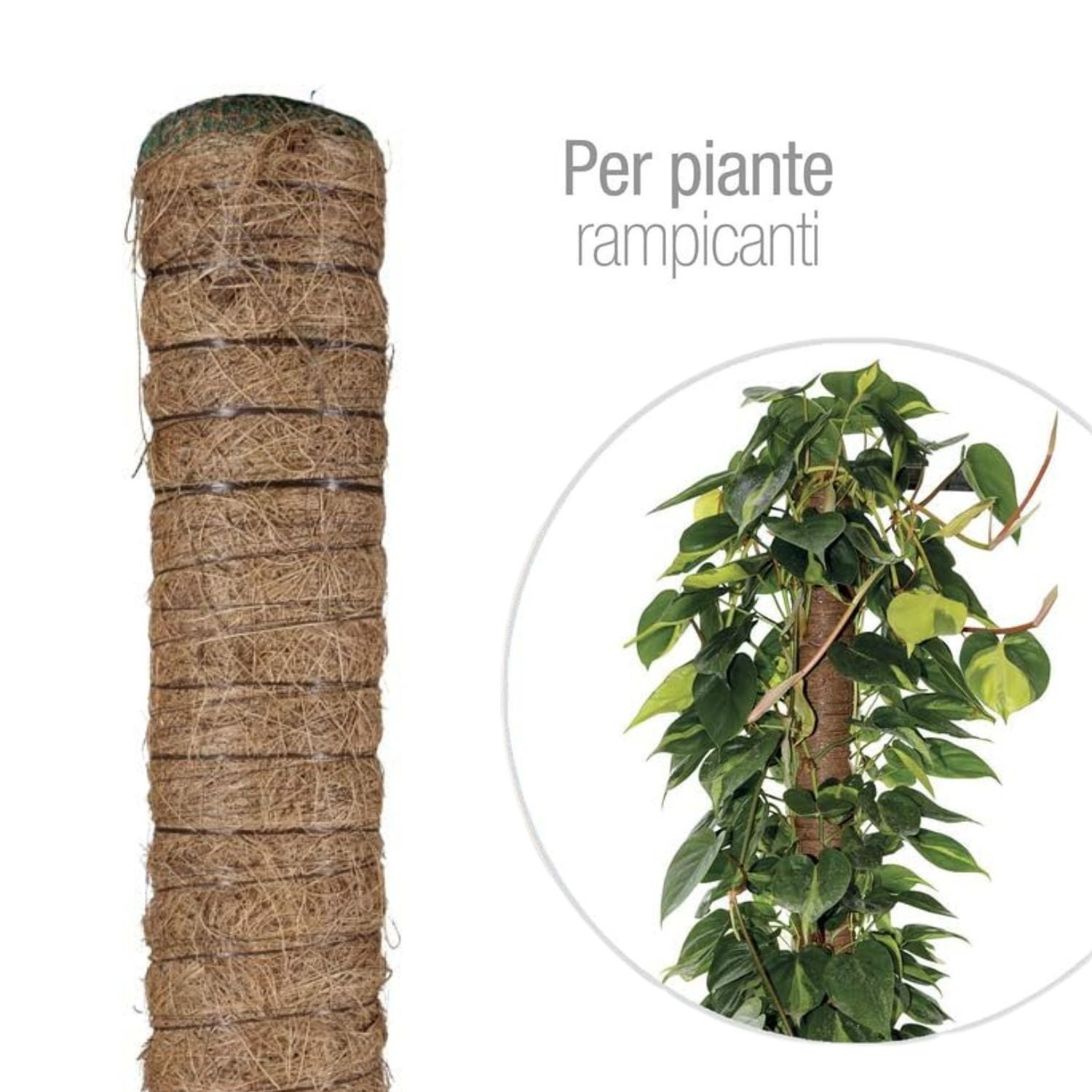 Bastone Muschiato Verdelook 80 cm in Fibra di Cocco Supporto per Piante in Vaso - 4