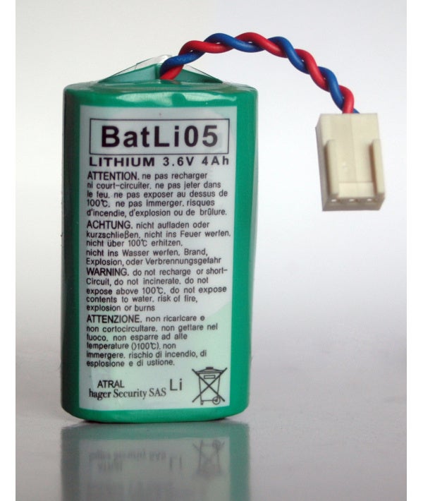Pile Alcaline Daitem BATLI05 - Pour Système D'alarme - Neuve Sous Emballage