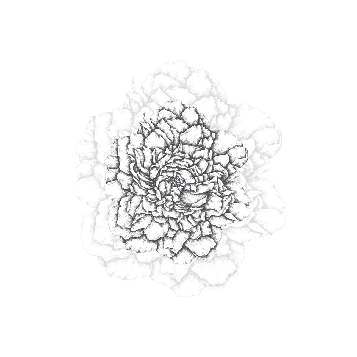 Cuore di peonie carta da parati panoramica Nero 225x250cm - 2