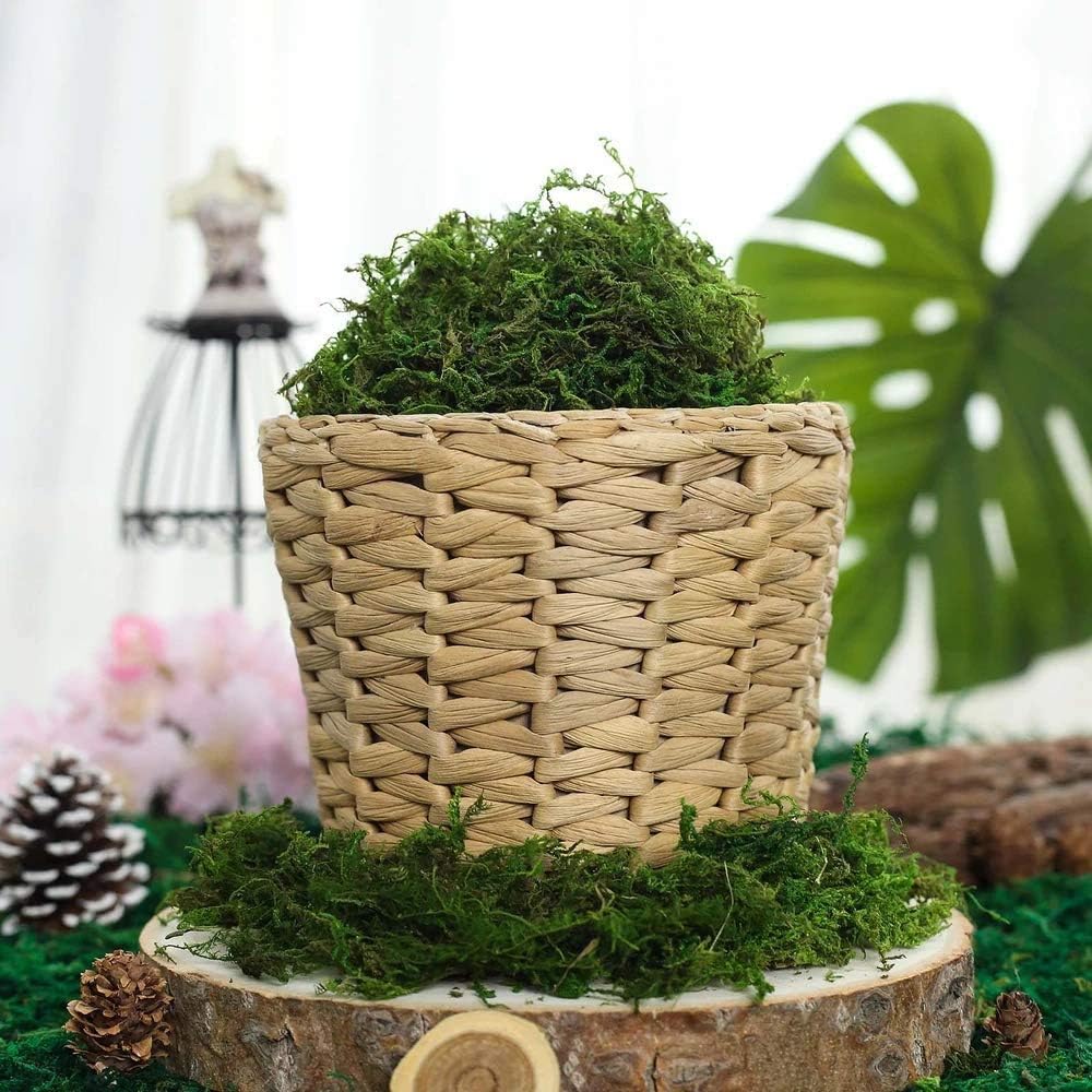 400 g de mousse végétale, mousse sèche, matériel de décoration pour compositions florales DIY, décorations pour la maison - 3