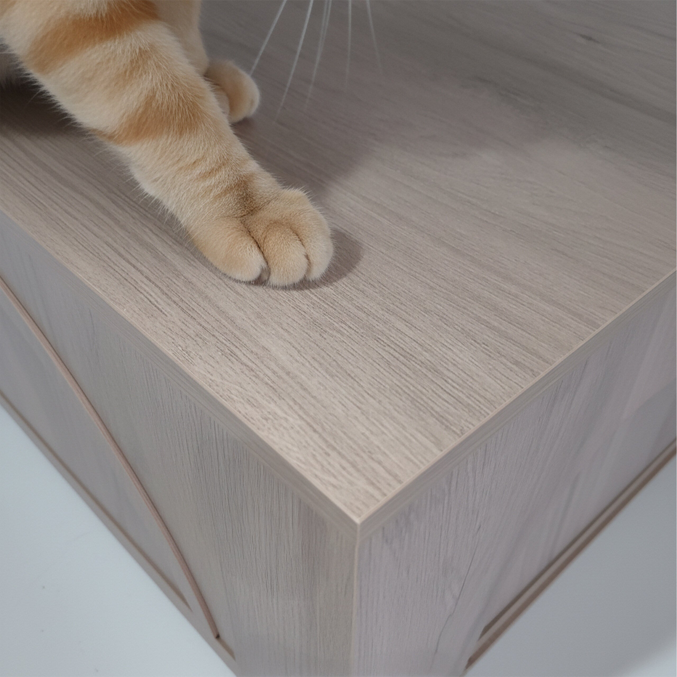 Armário para caixa de areia para gatos em MDF, na cor cinzento-claro, com divisória amovível e entrada lateral, 50 x 80 x 53 cm, Relaxdays - 6