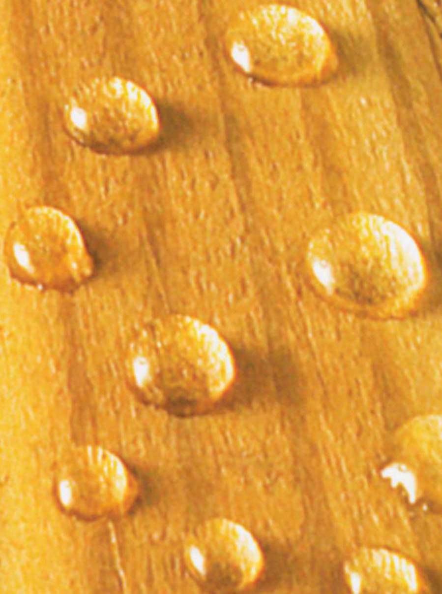 Imperméabilisant Bois Anti Tache - WoodGuard Formule Végétale Protège 5 Ans -Tous Bois- Même Bois Composite -1L-10m2 - 4