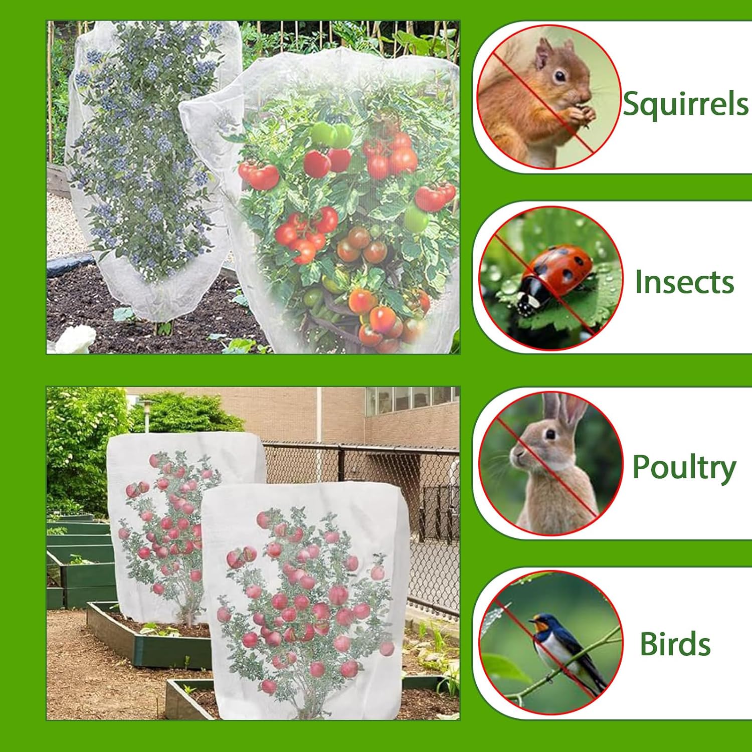 Filets Protection Plantes Anti-Oiseaux et Insectes, avec Fermeture Éclair + Cordon Serrage - pour Arbres Fruitiers, Légumes, Réutilisable (180x180 cm) - 5