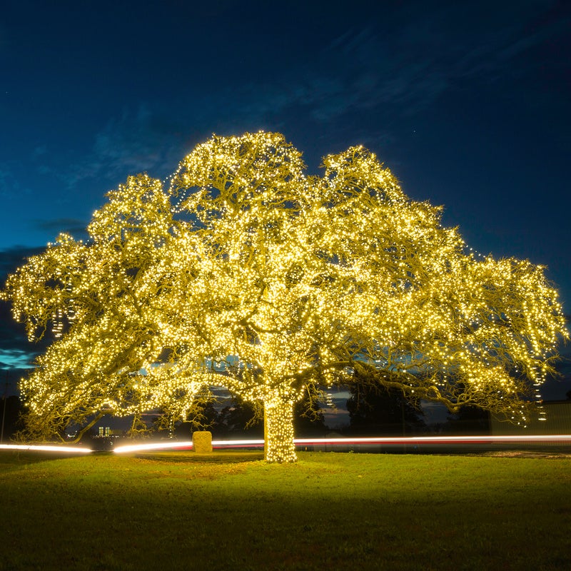 100M 500 luci a stringa a LED lucine bianche calde 8 modalità di illuminazione luci per feste da giardino per interni ed esterni luci natalizie IP44 - 5